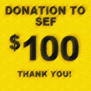 $100 sef donation button